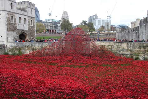 888,246 poppies lay in the famous moat of the Tower of London